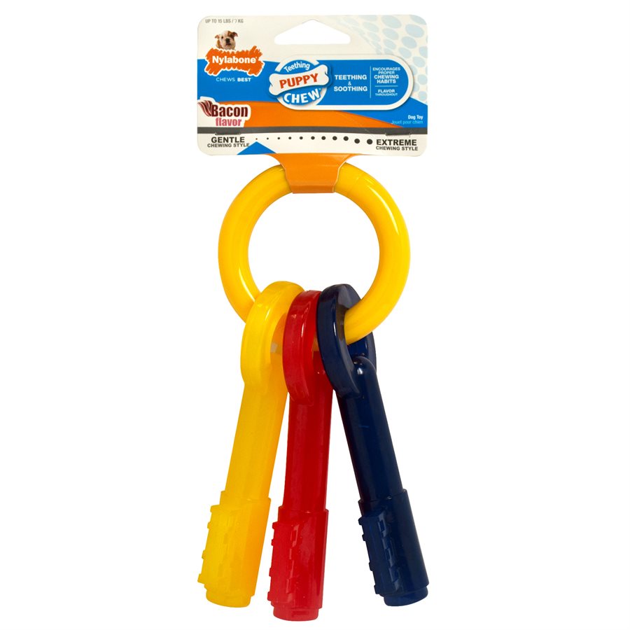 Clés de dentition Puppy Chew pour chiot - Nylabone