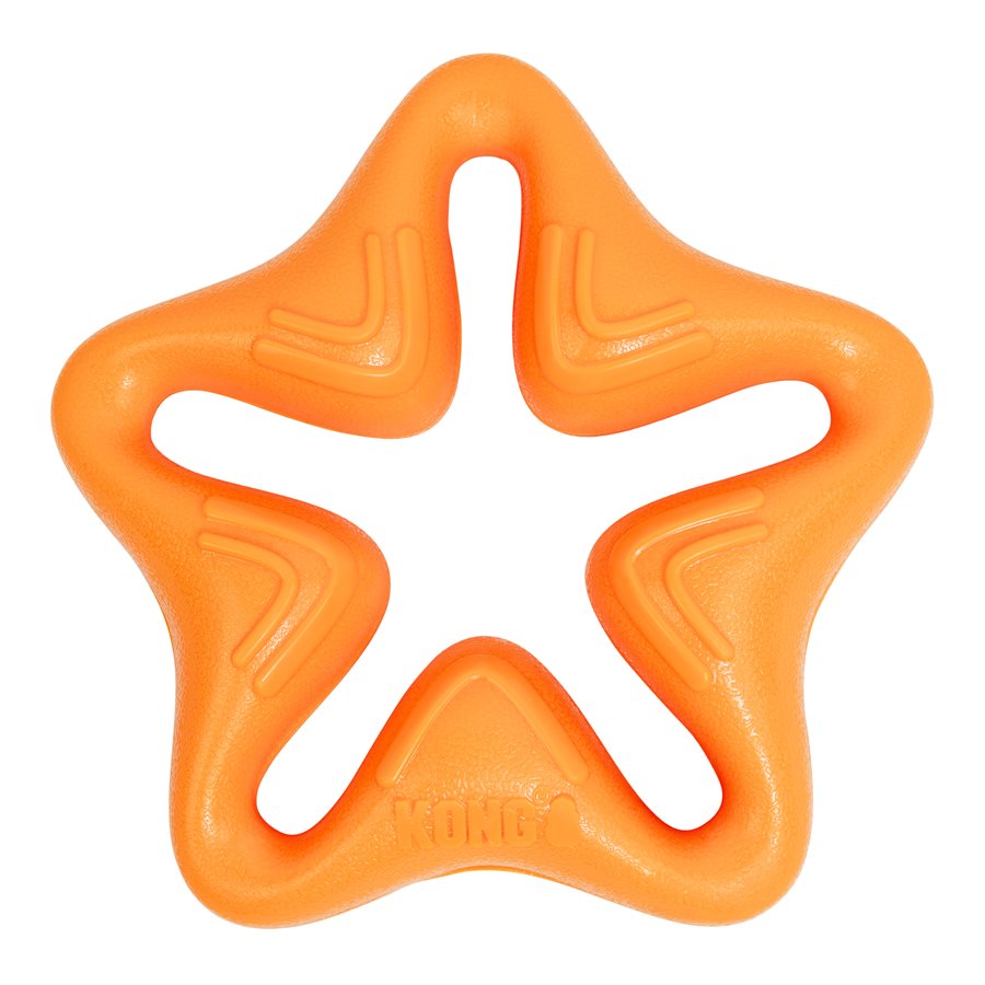 Étoile Squeakz pour chien - KONG
