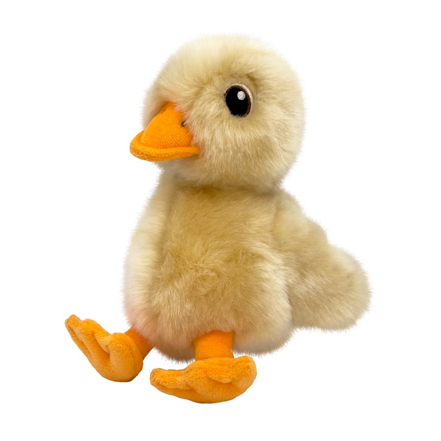 Toughz canard moyen - jouet pour chien