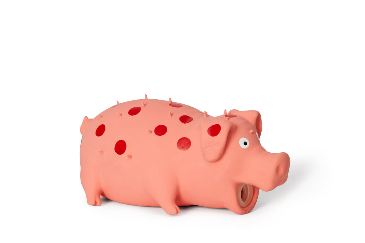 Jouet en latex pour chien cochon grogneur