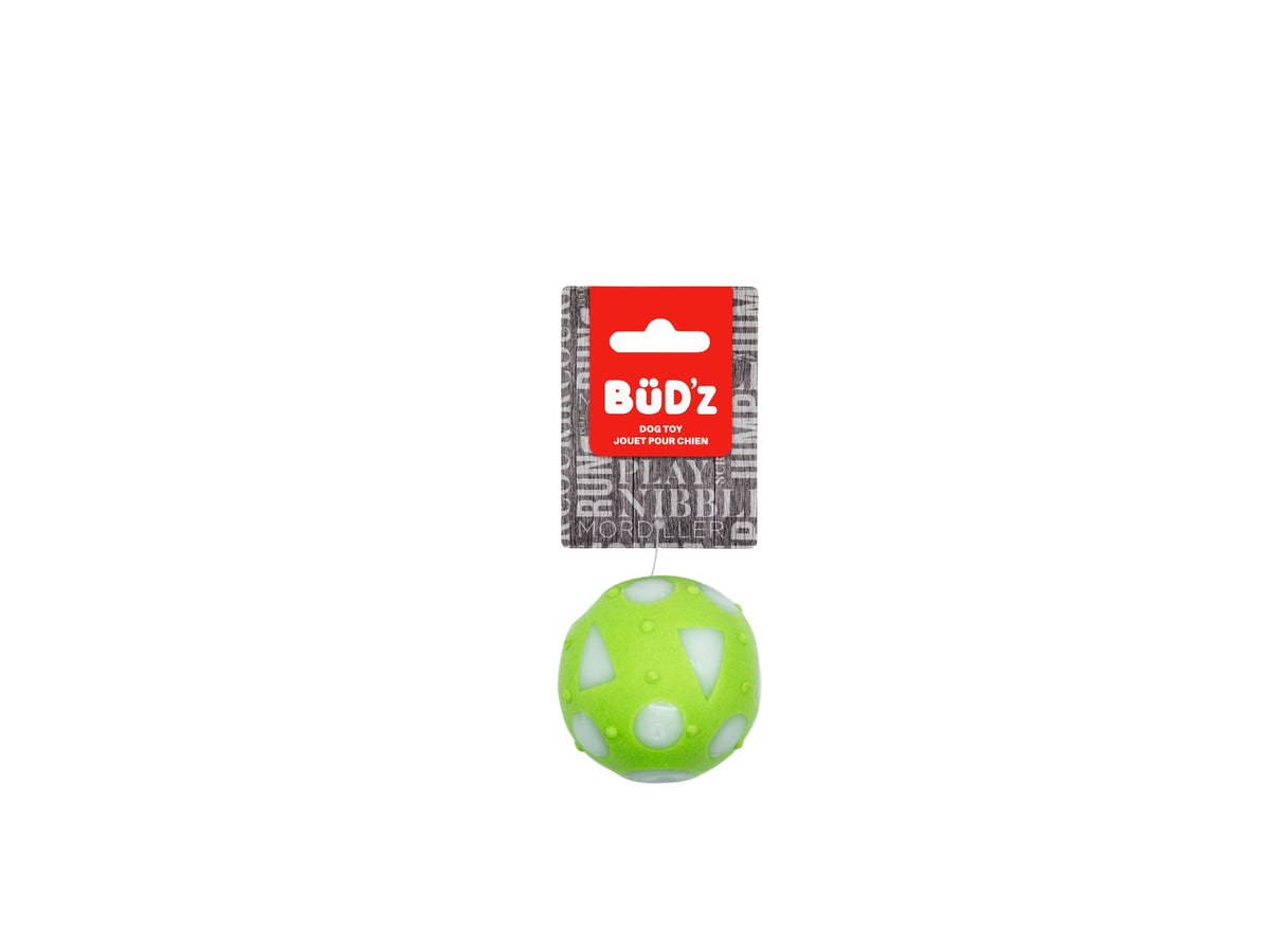 Balle pleine en caoutchouc pour chien - Bud'z