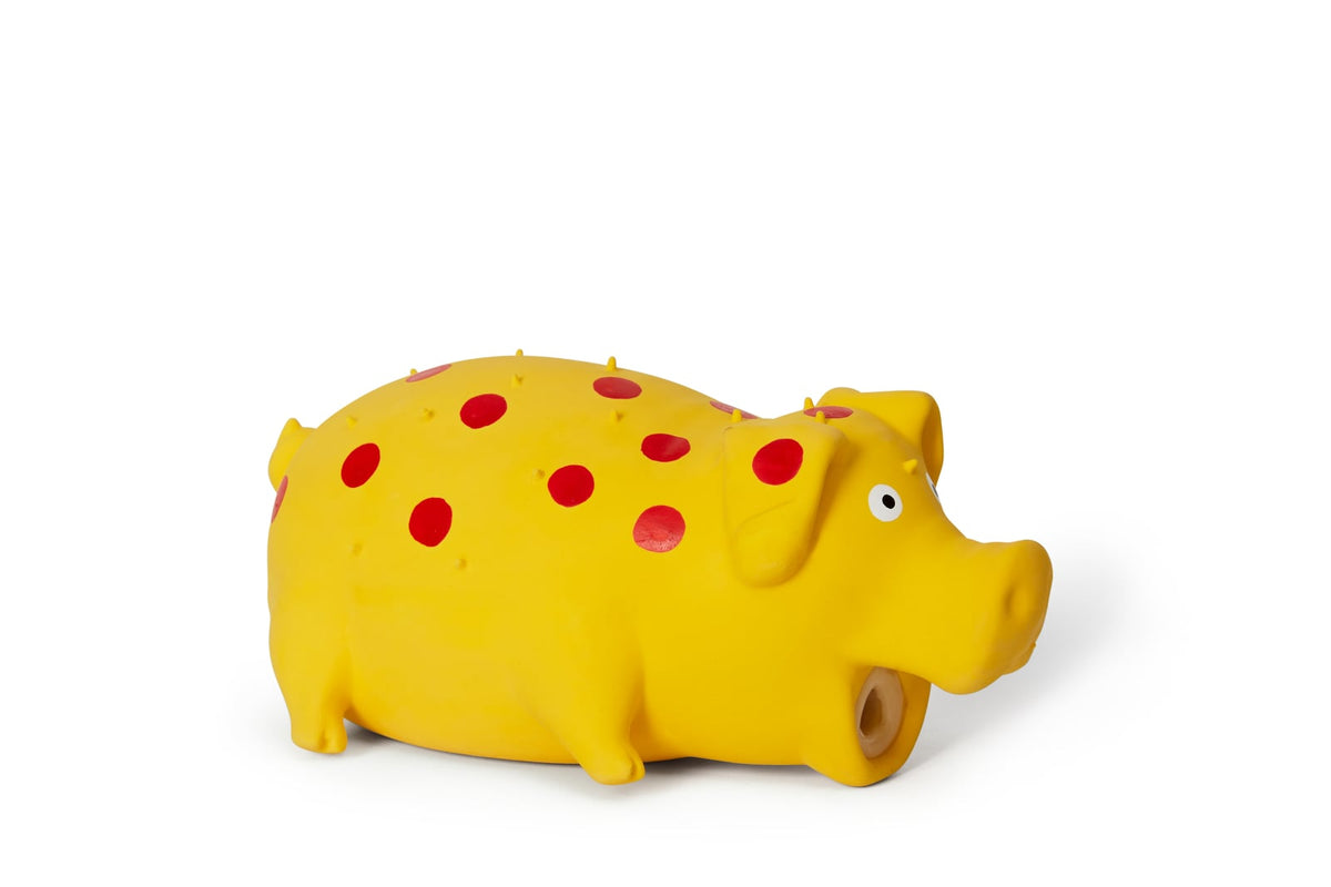 Jouet en latex pour chien cochon grogneur