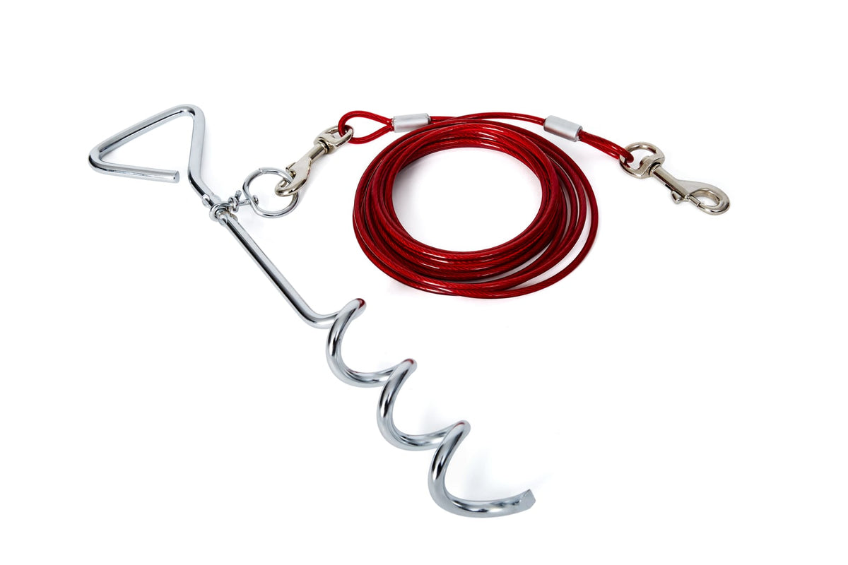 Câble d'attache pour chien