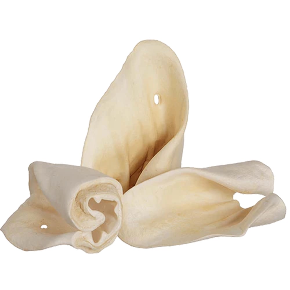 Gâterie à mâcher oreille de vache pour chien (à l'unité)