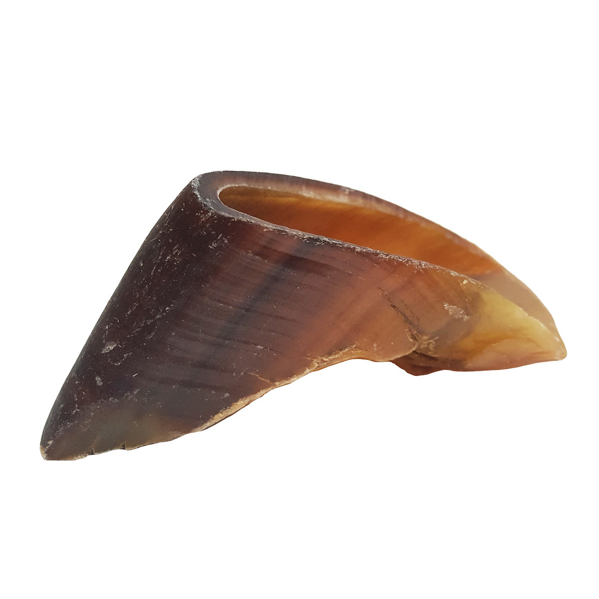 Sabot de vache
