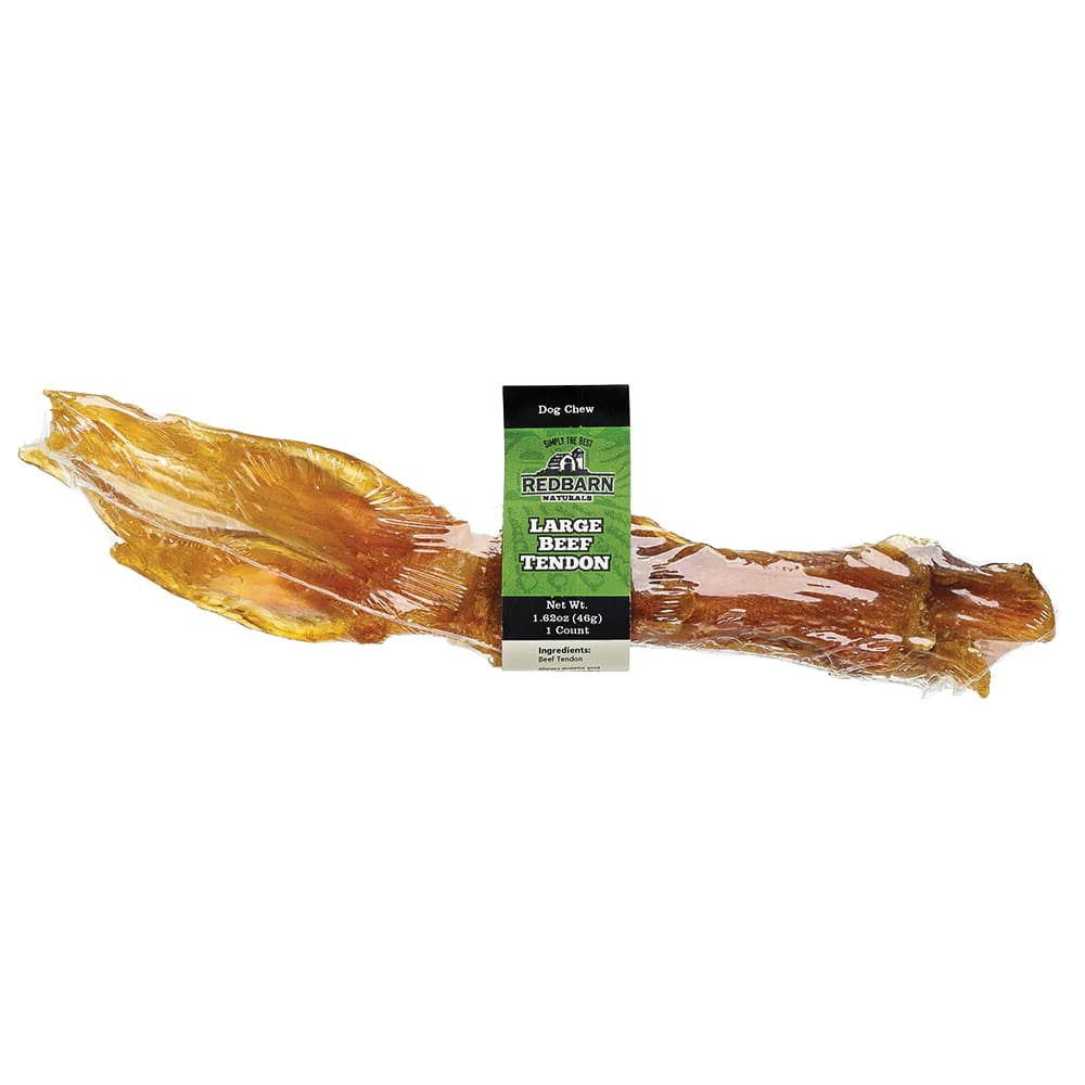 Tendon de bœuf, grand