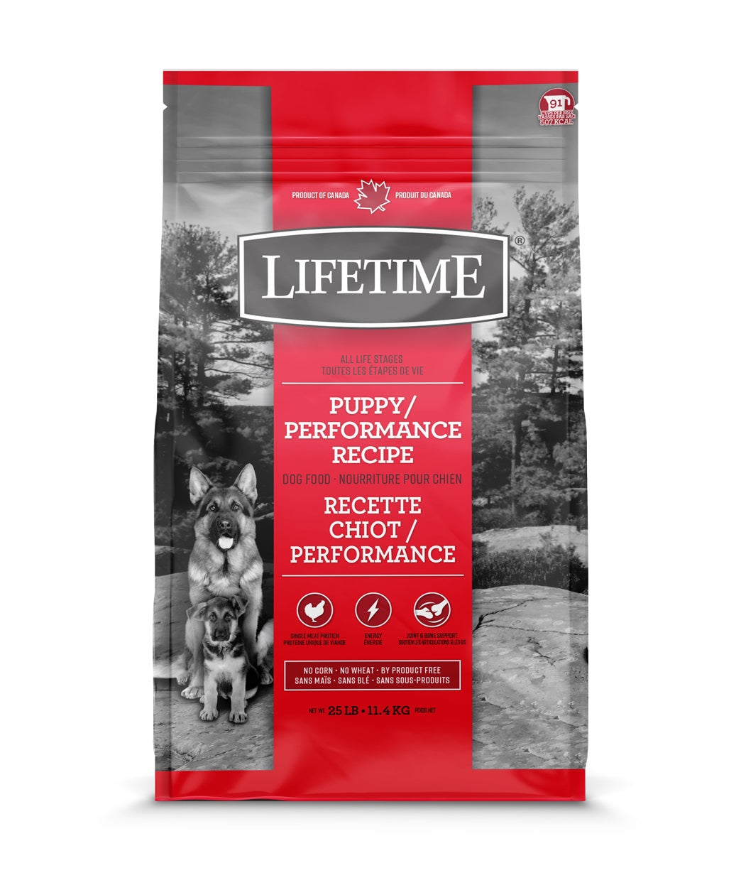 Nourriture sèche pour chiot Lifetime Performance