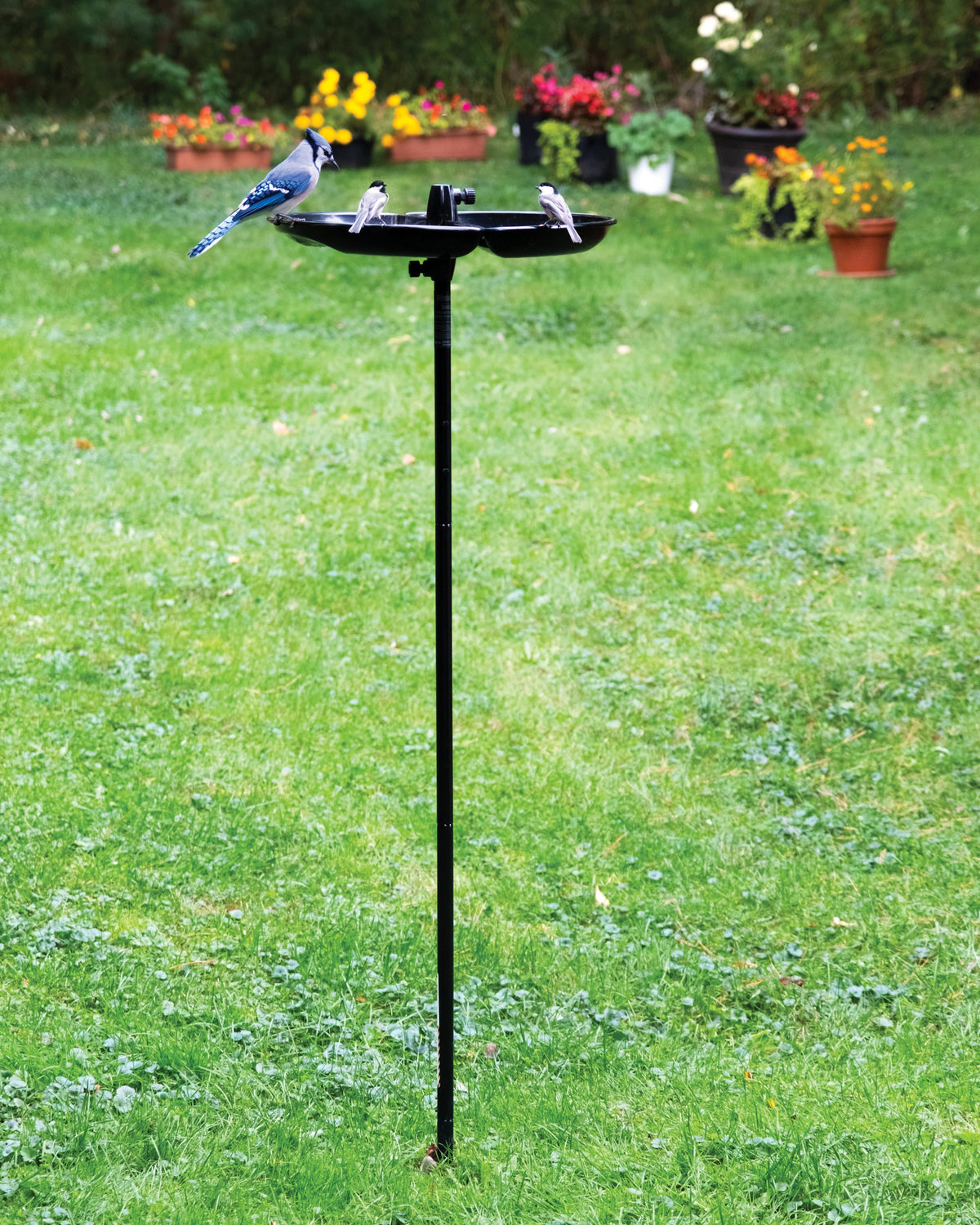 Ensemble Podium poteau et plateau Seed Buster