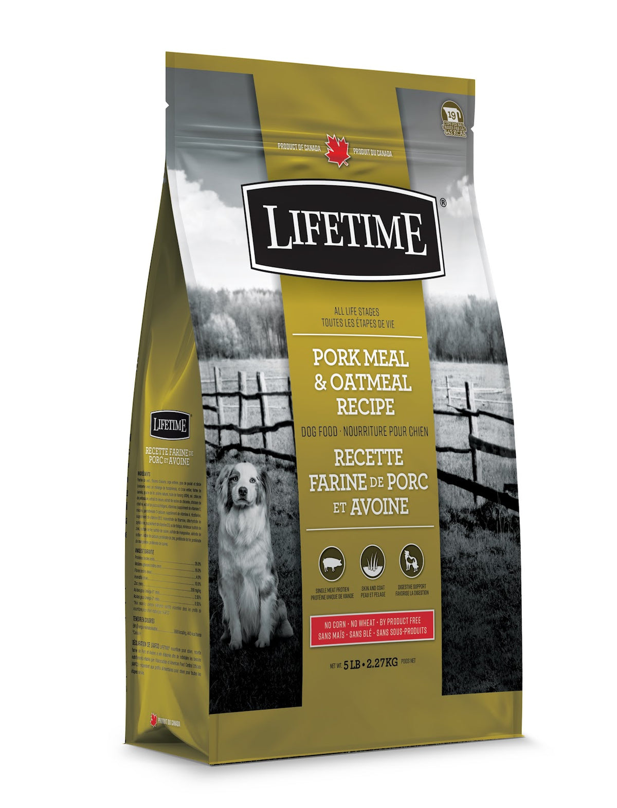 Nourriture sèche pour chien Lifetime