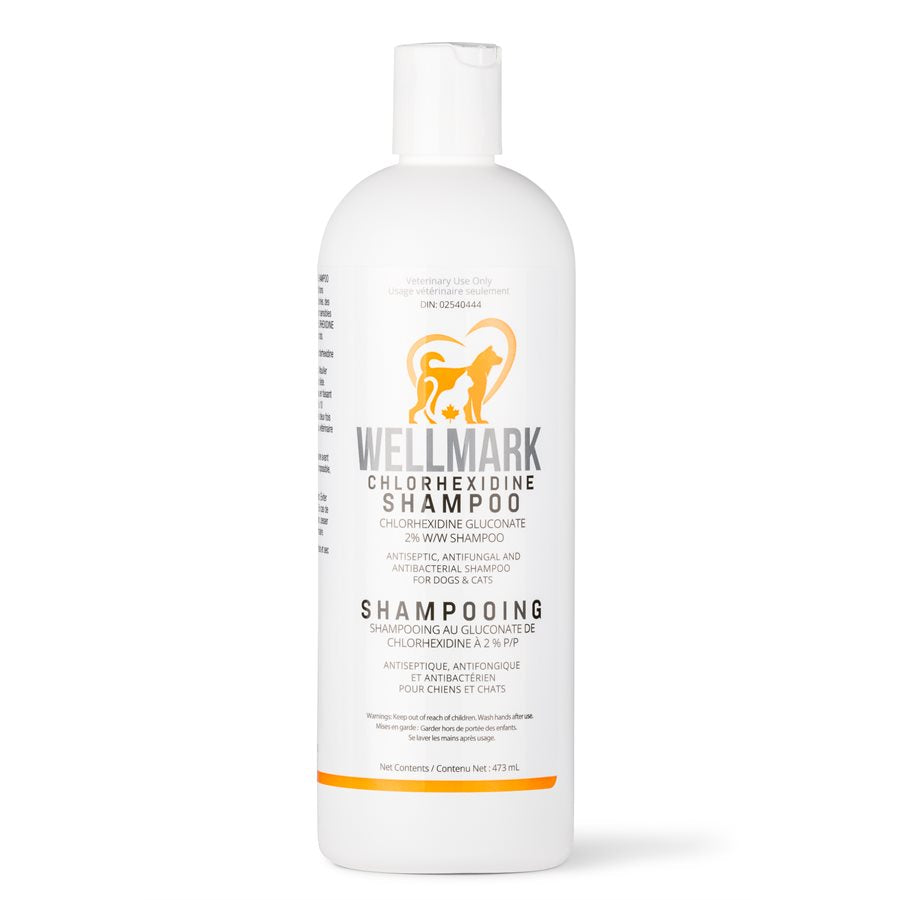 Shampoing à la chlorhexidine 473 ml - toilettage pour chien et chat
