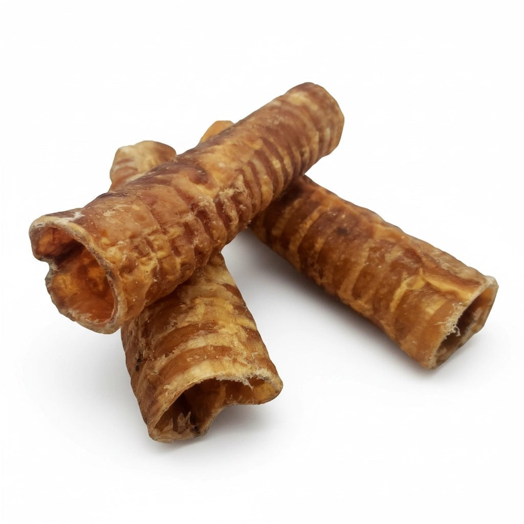 Trachée de bœuf