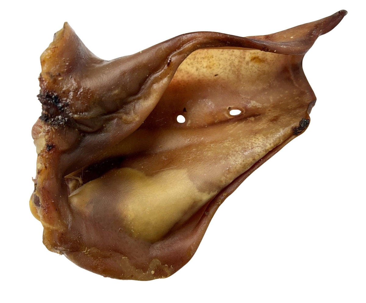 Gâterie à mâcher oreille de porc pour chien - WawWaw