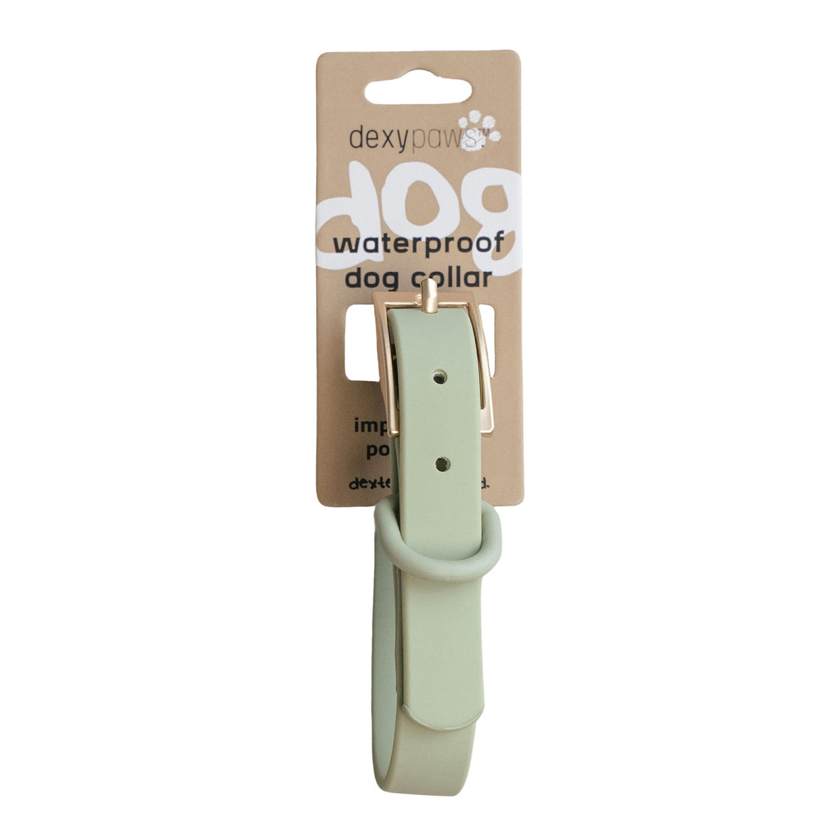 Collier imperméable pour chien