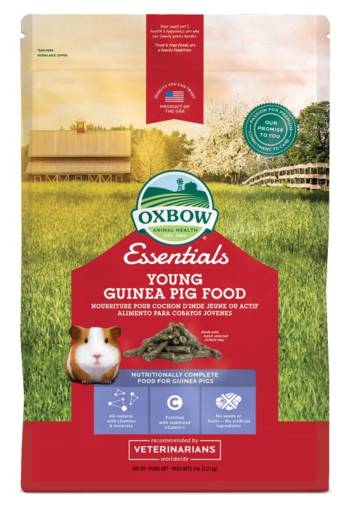 Nourriture Essentials pour jeune cochon d'Inde