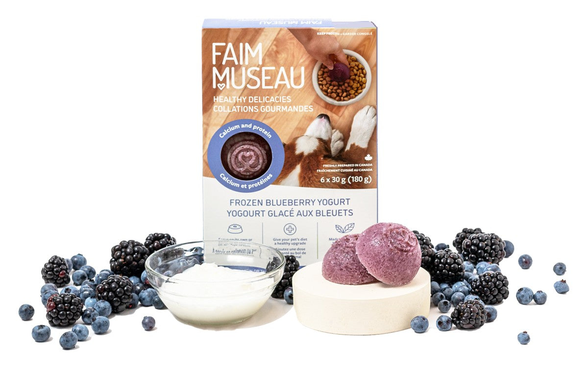 Yogourt glacé aux bleuets - collation glacée pour chien 6 x 30 g