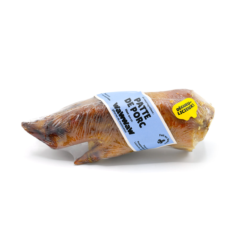 Patte à mâcher