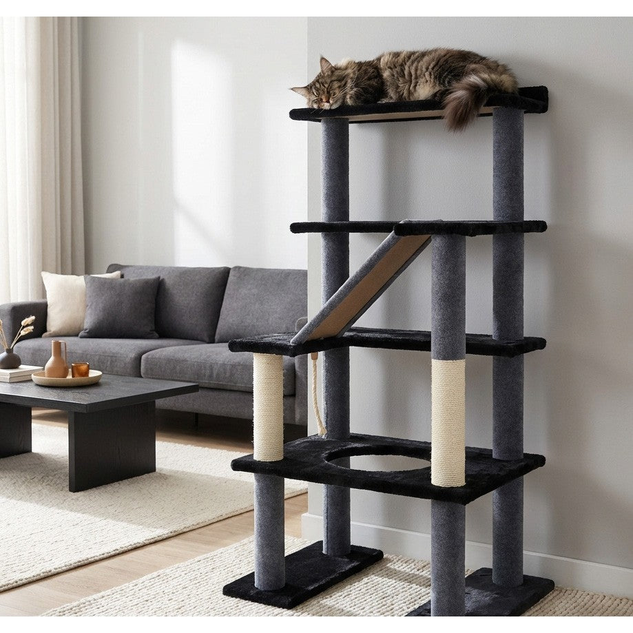 Tour à chat Maine Coon 5 niveaux