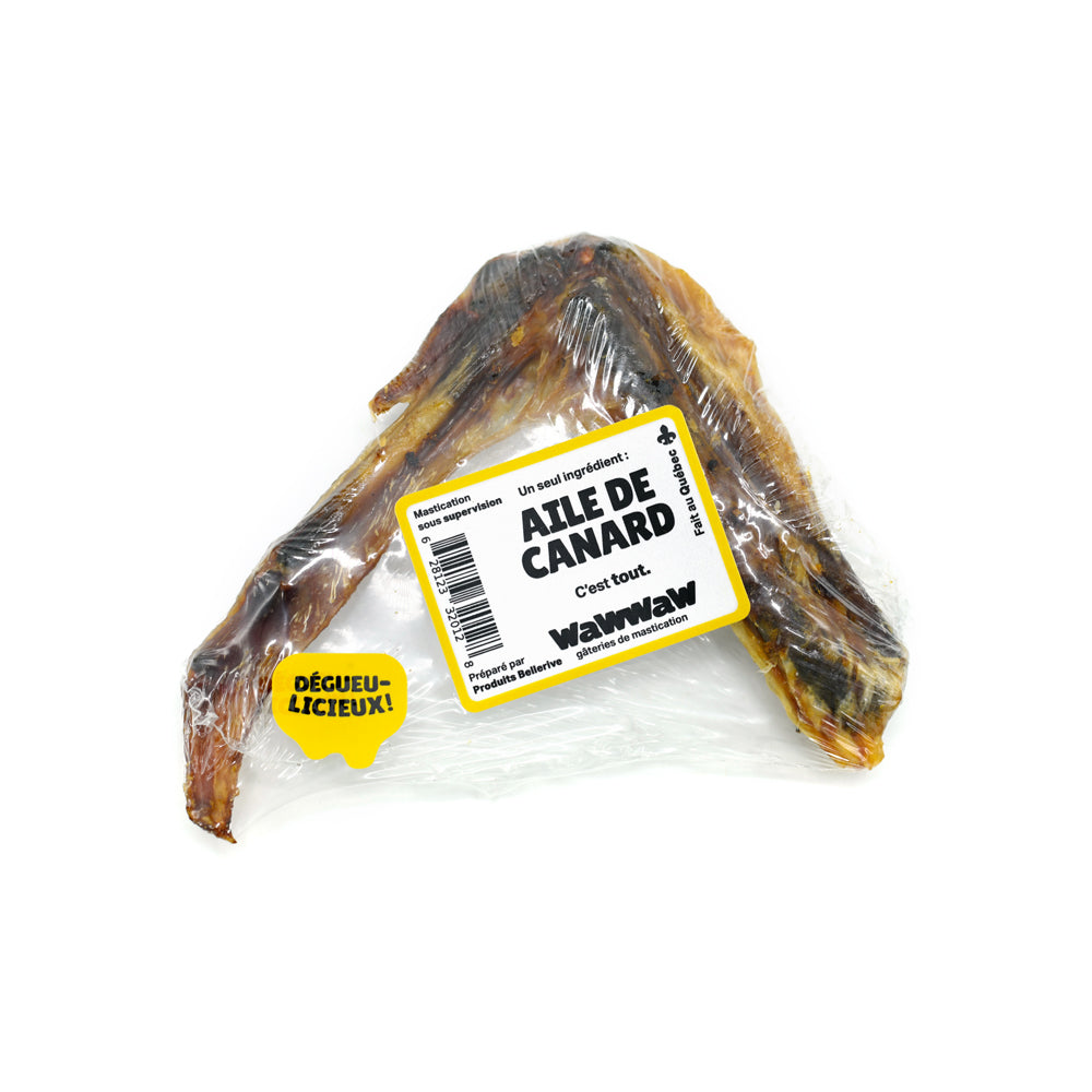 Aile de canard pour chien