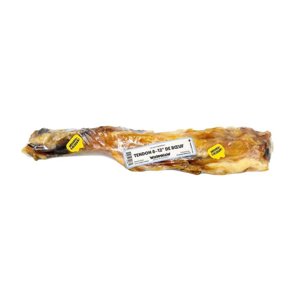 Tendon à mâcher