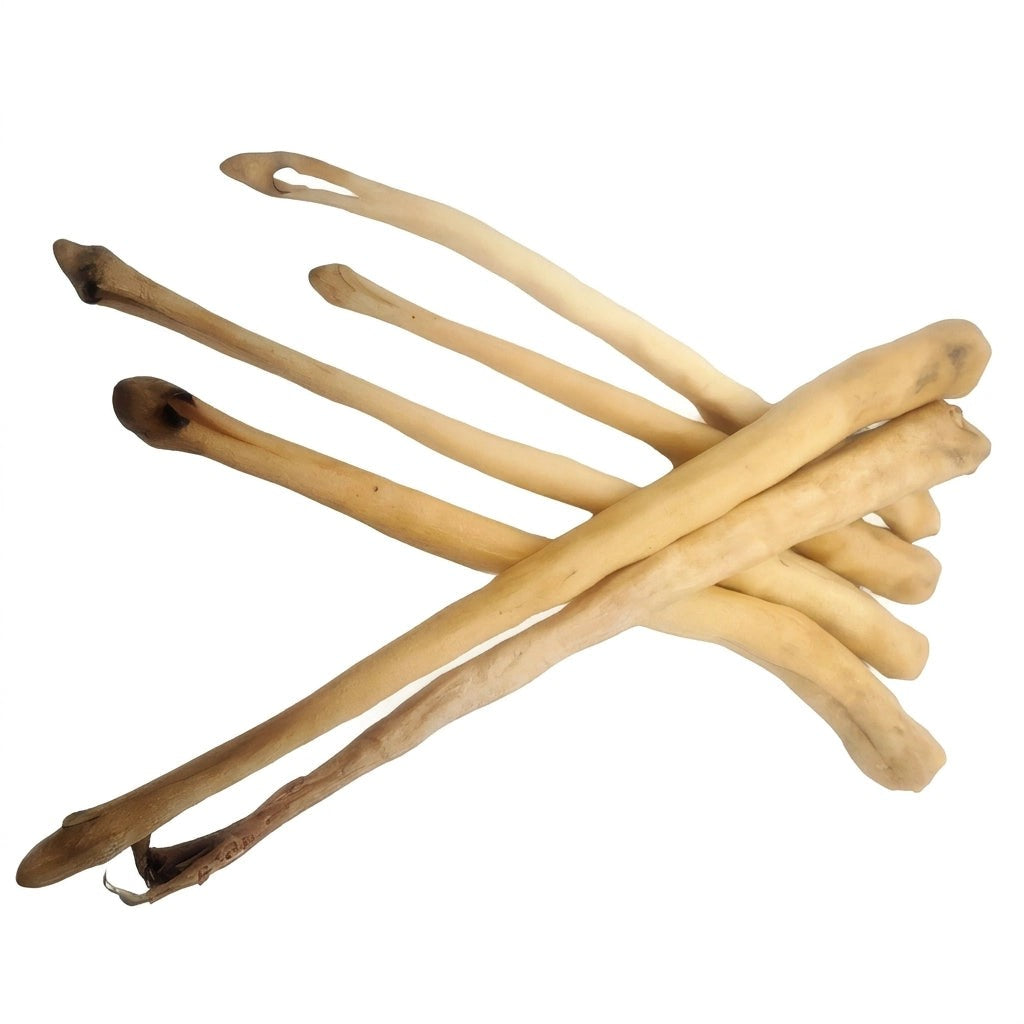 Queue de bœuf entière pour chien - Munchie Bones