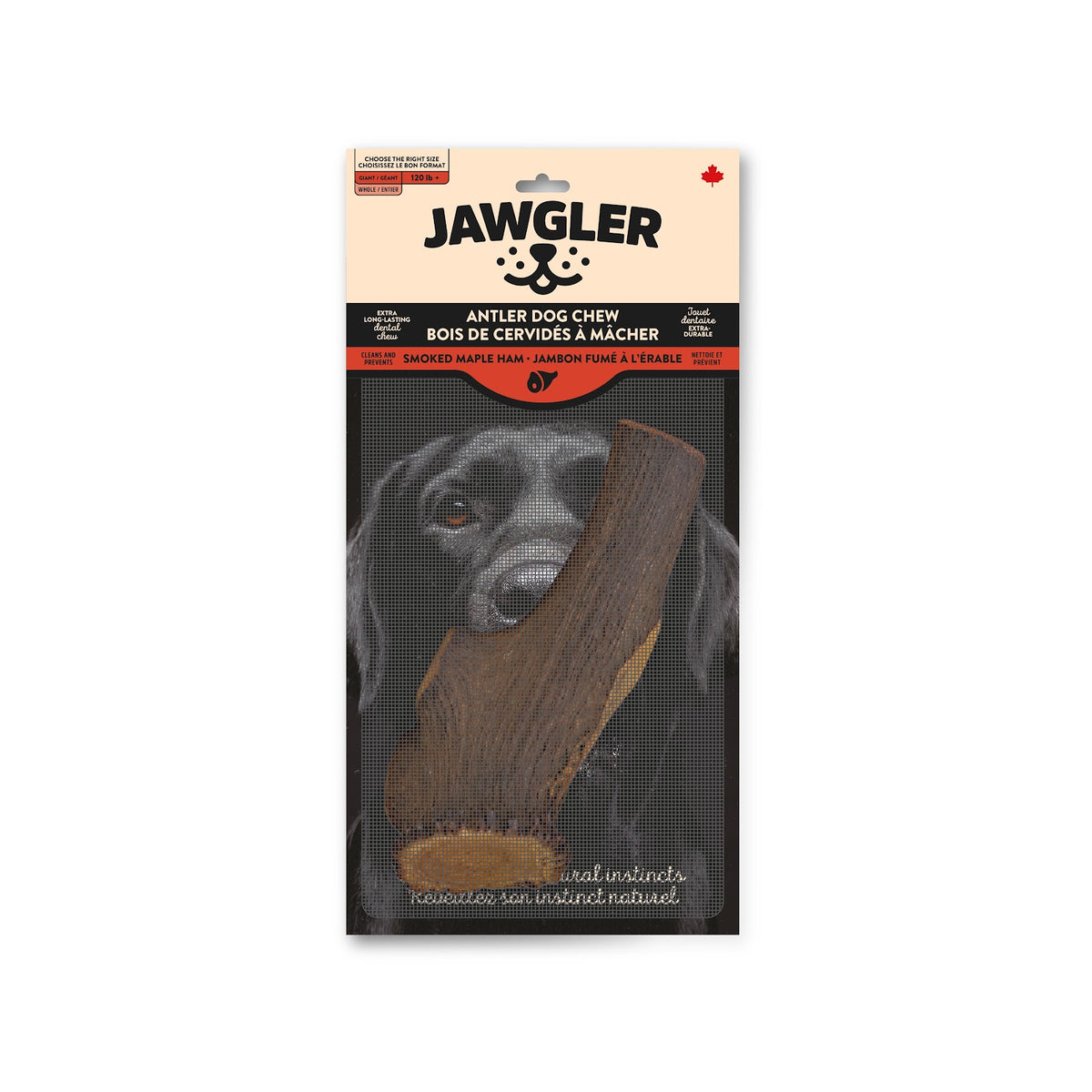 Bois de cervidés entier jambon fumé à l'érable Jawgler - gâterie à mâcher pour chien