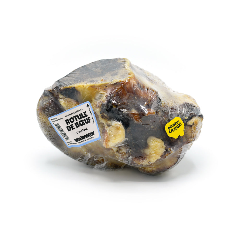 Rotule de bœuf pour chien
