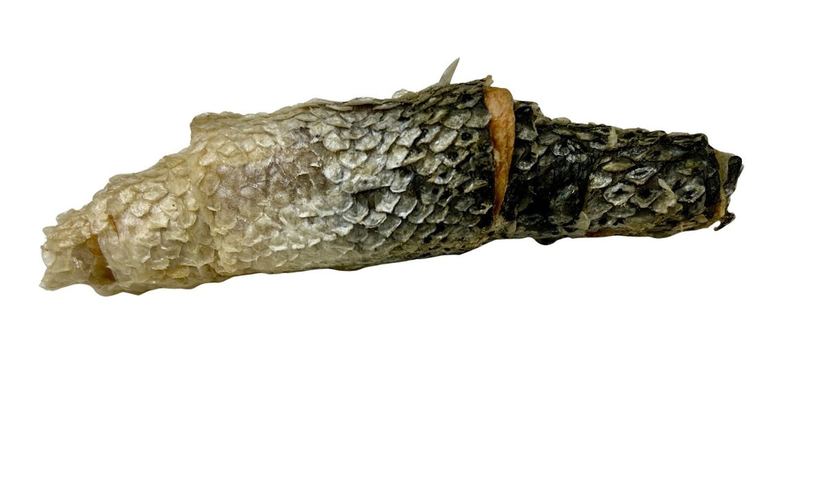 Lyophilisé de poisson