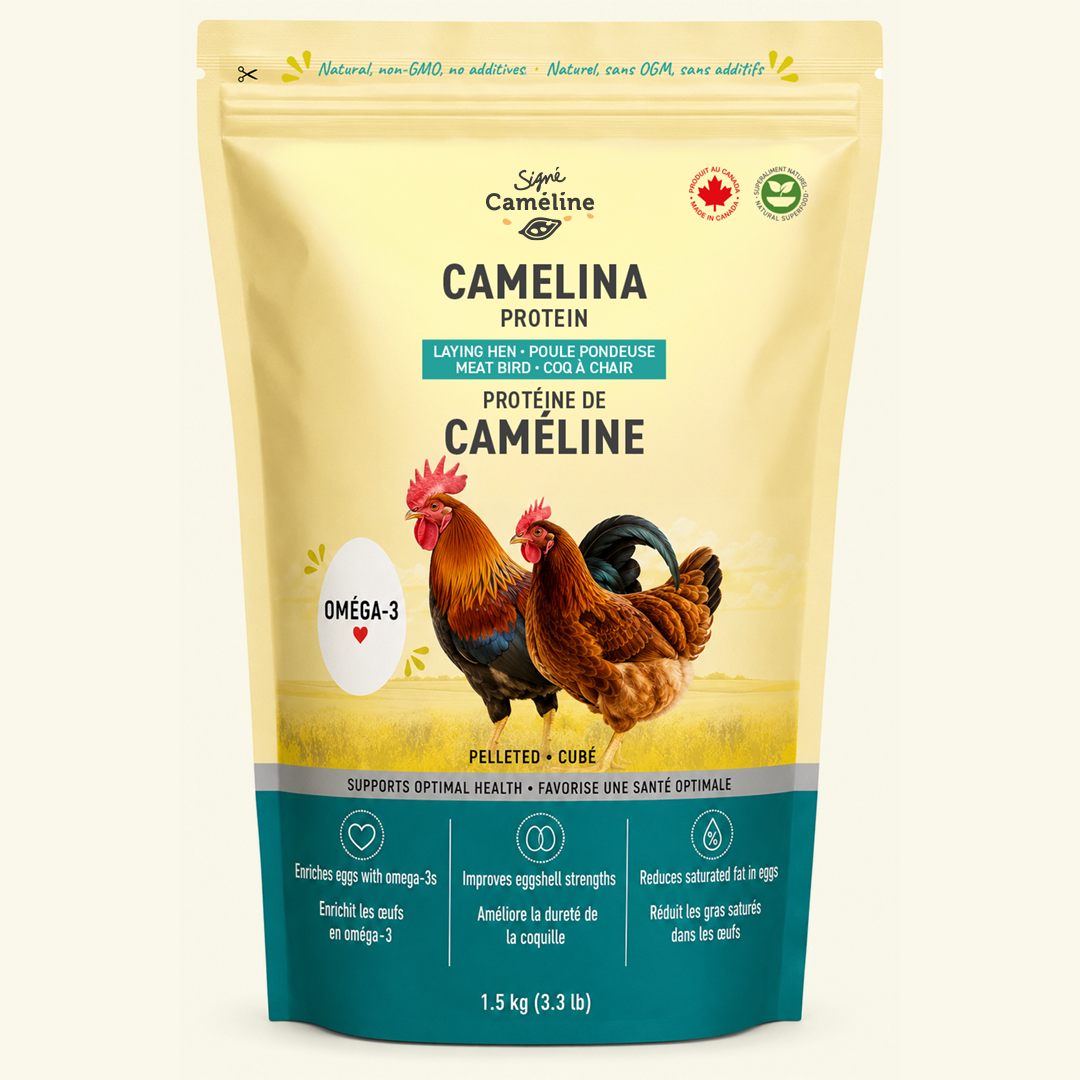 Tourteau de cameline pour poules pondeuses 1,5 kg