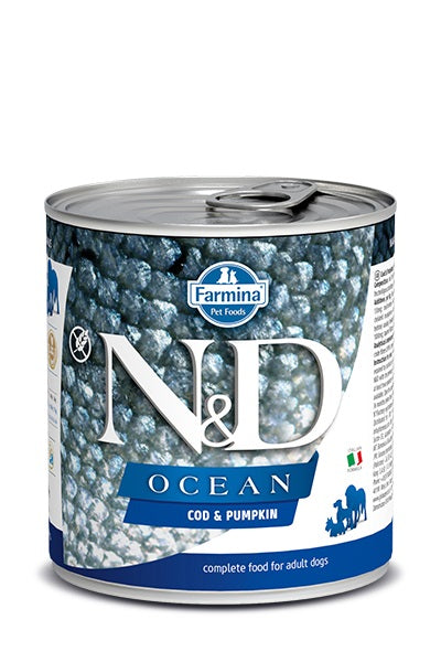 Nourriture humide Ocean sans grains à la morue et citrouille pour chien 10 oz