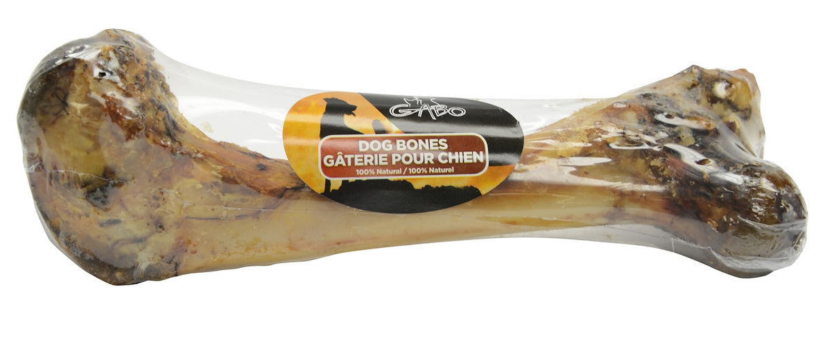 Fémur de porc 6 po