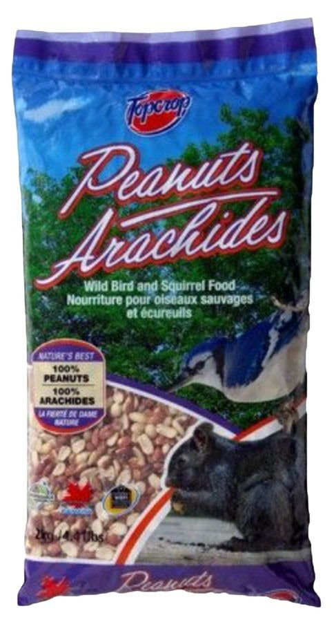 Arachides pour oiseaux sauvages