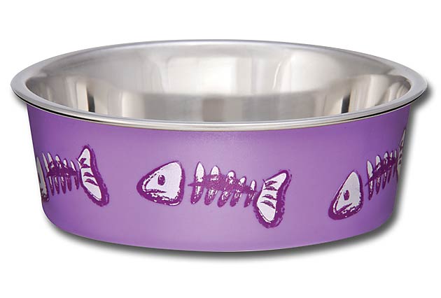Bella - bol pour chien
