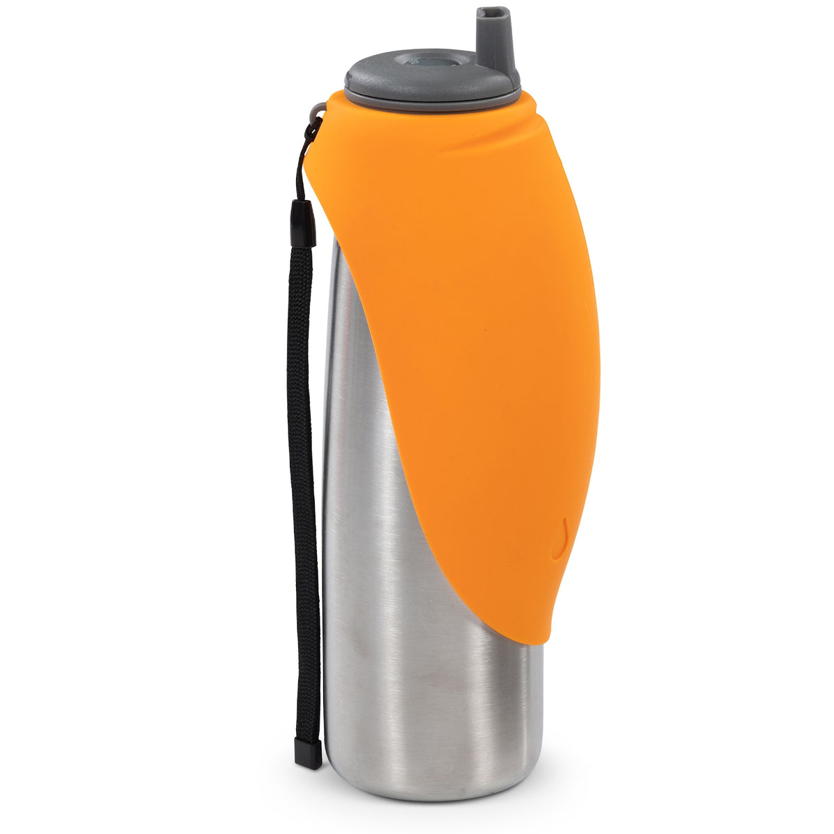 Abreuvoir de voyage en acier inoxydable
