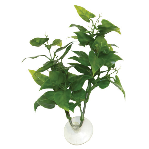 Plante artificielle philodendron pour betta