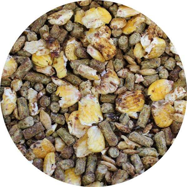 Moulée veau début 21 % 25 kg