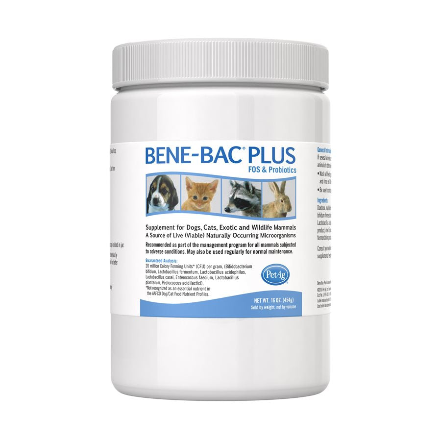 Bene-Bac probiotique en poudre - supplément pour chien et chat