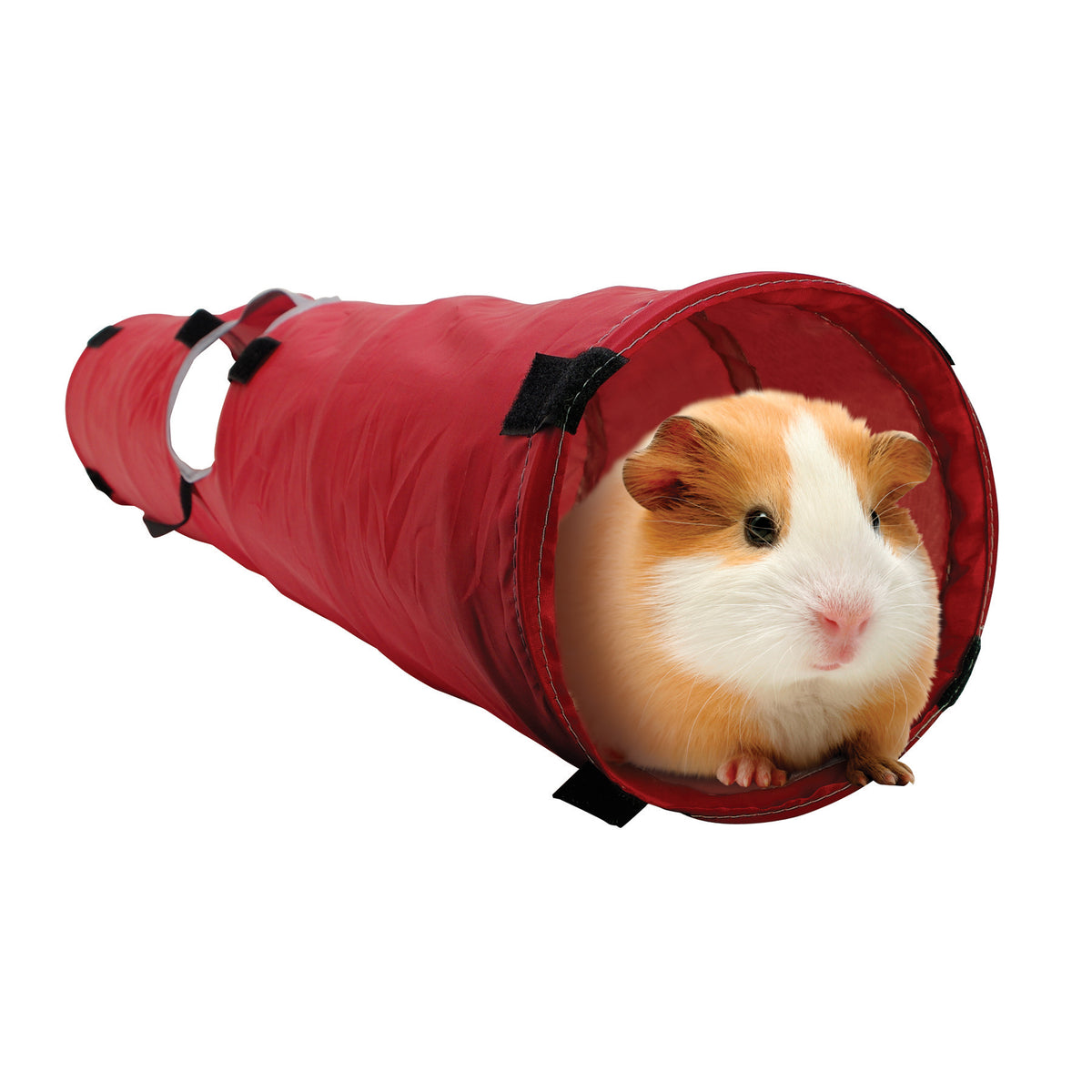 Tunnel pour petits animaux, moyen, 15 x 90 cm