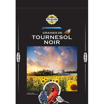 Graines de tournesol noir Picardie