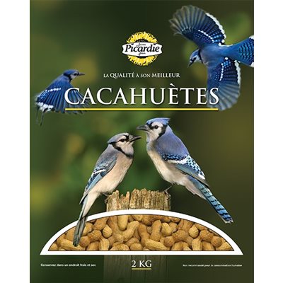 Arachides en écale Picardie