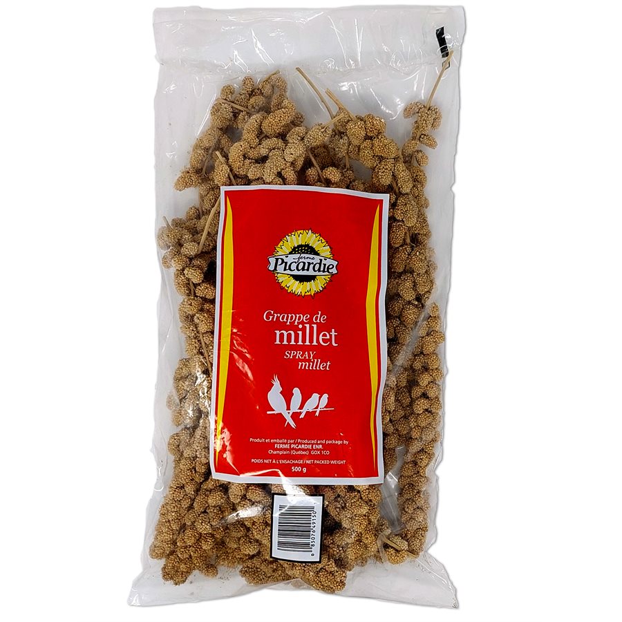 Millet en branche Picardie