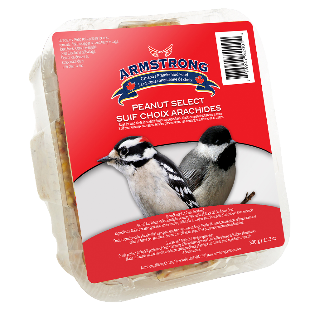 Gâteau de suif au beurre d'arachide pour oiseau sauvage 320 g