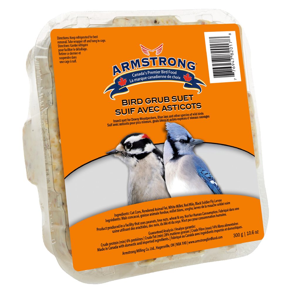 Gâteau de suif aux insectes pour oiseau sauvage 300 g