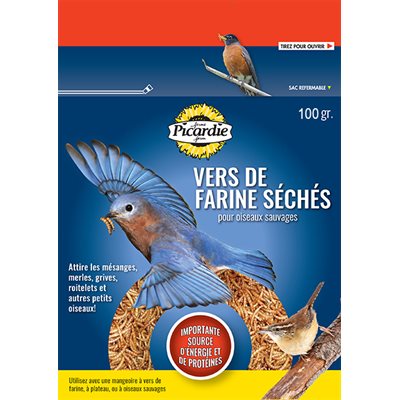 Vers de farine séchés Picardie