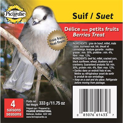 Pain de suif aux fruits pour oiseau sauvage 311 g