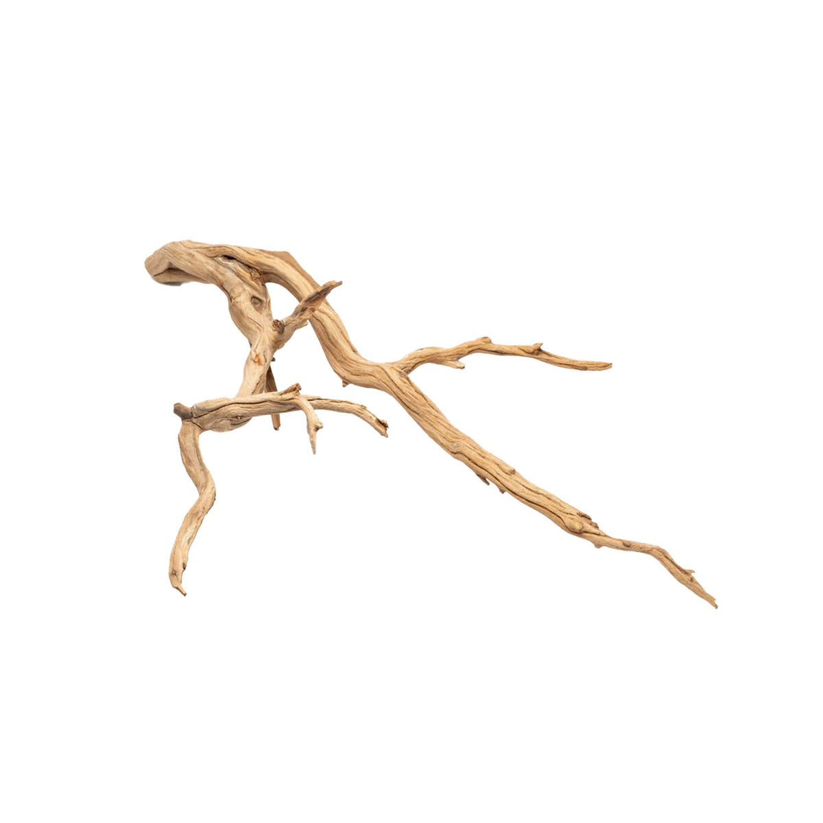 Bois Ghostwood pour aquarium - Underwater Treasures