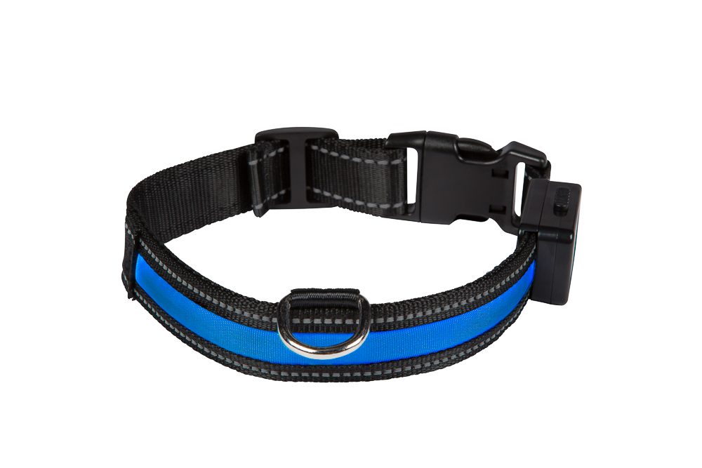 Collier lumineux USB Light - collier pour chien