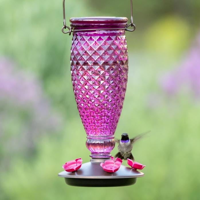 Abreuvoir à colibris en verre à remplissage par le haut Diamond Wine