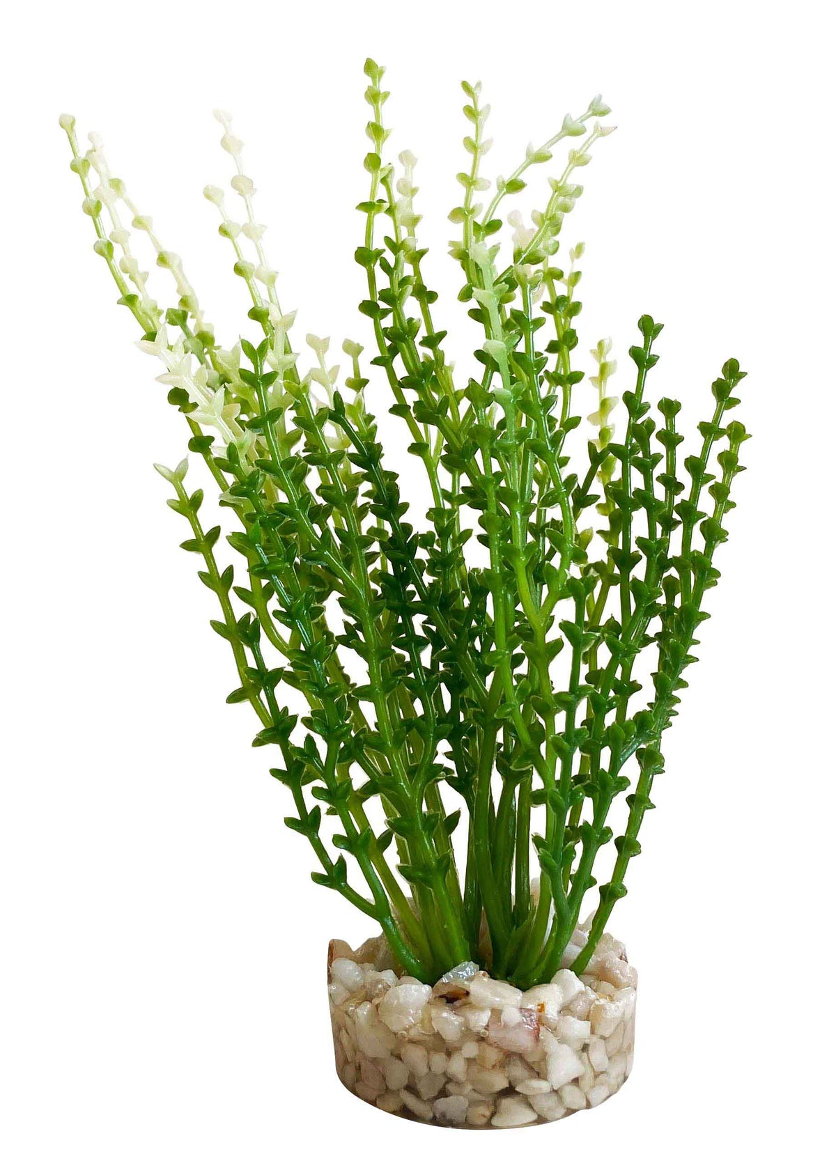 Plante décorative mousse aqua nano 8 cm - décoration d'aquarium
