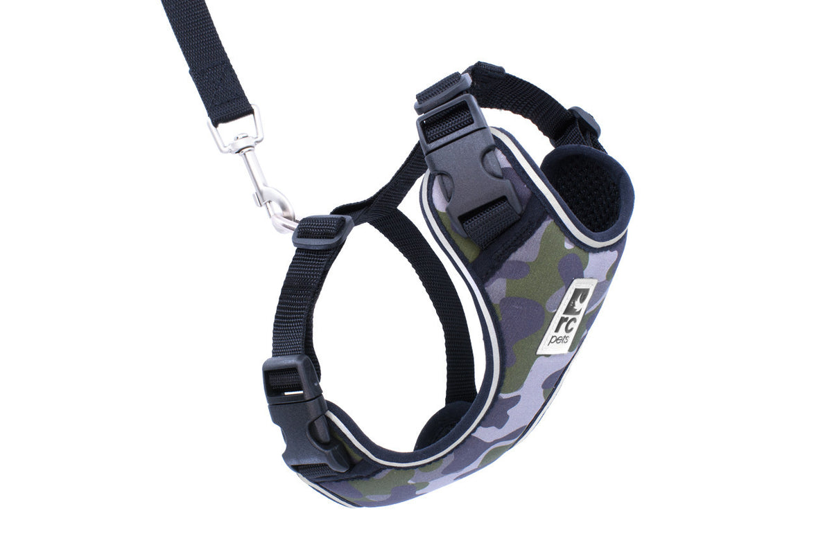 Harnais aventure pour chat - RC Pets