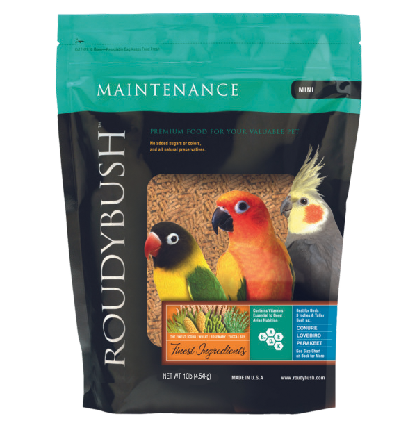 Maintenance granulés - nourriture pour oiseaux